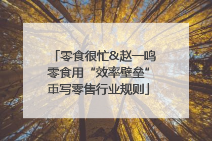 零食很忙&赵一鸣零食用“效率壁垒”重写零售行业规则