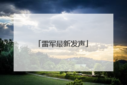 雷军最新发声