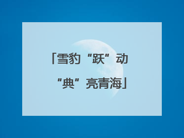 雪豹“跃”动 “典”亮青海