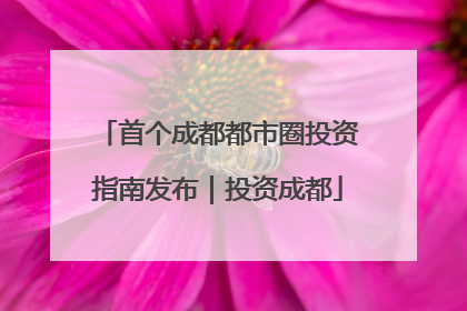 首个成都都市圈投资指南发布｜投资成都