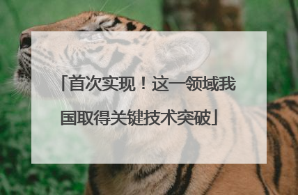 首次实现！这一领域我国取得关键技术突破