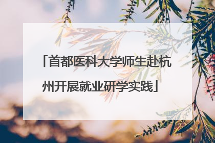 首都医科大学师生赴杭州开展就业研学实践