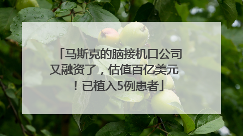 马斯克的脑接机口公司又融资了，估值百亿美元！已植入5例患者
