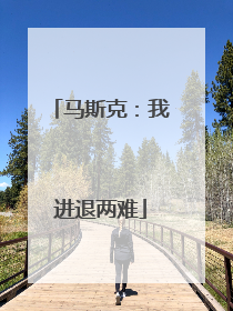 马斯克：我进退两难