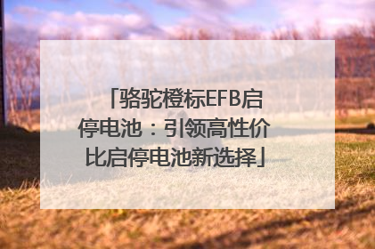 骆驼橙标EFB启停电池：引领高性价比启停电池新选择