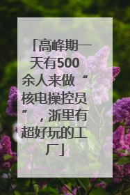 高峰期一天有500余人来做“核电操控员”，浙里有超好玩的工厂