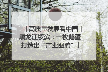 高质量发展看中国｜黑龙江绥滨：一枚鹅蛋打造出“产业图腾”