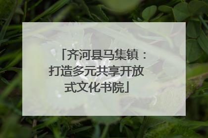 齐河县马集镇：打造多元共享开放式文化书院