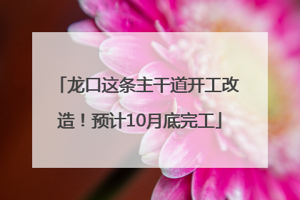 龙口这条主干道开工改造！预计10月底完工