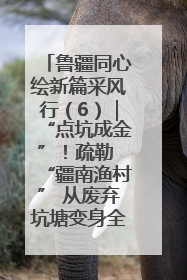 鲁疆同心绘新篇采风行（6）｜“点坑成金”！疏勒 “疆南渔村” 从废弃坑塘变身全国垂钓胜地