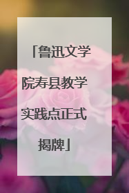 鲁迅文学院寿县教学实践点正式揭牌