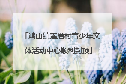 鸿山镇莲厝村青少年文体活动中心顺利封顶