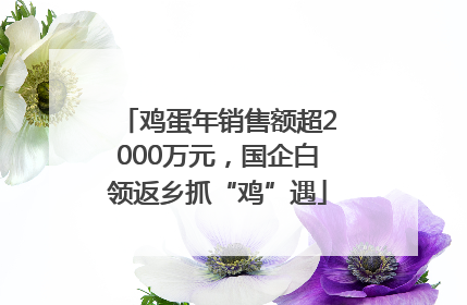 鸡蛋年销售额超2000万元，国企白领返乡抓“鸡”遇