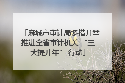 麻城市审计局多措并举推进全省审计机关 “三大提升年” 行动