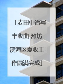 麦田中谱写丰收曲 潍坊滨海区夏收工作圆满完成