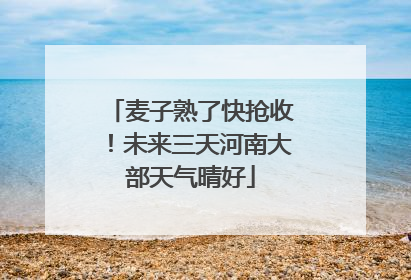 麦子熟了快抢收！未来三天河南大部天气晴好