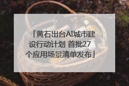 黄石出台AI城市建设行动计划 首批27个应用场景清单发布
