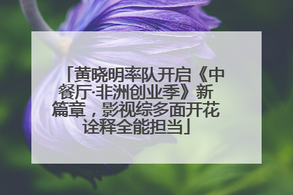 黄晓明率队开启《中餐厅·非洲创业季》新篇章，影视综多面开花诠释全能担当