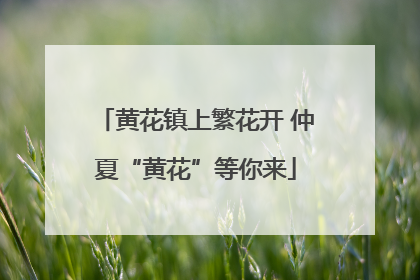 黄花镇上繁花开 仲夏“黄花”等你来