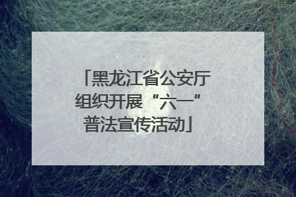 黑龙江省公安厅组织开展“六一”普法宣传活动