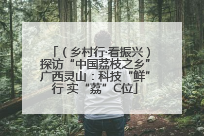 （乡村行·看振兴）探访“中国荔枝之乡”广西灵山：科技“鲜”行 实“荔”C位