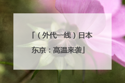 （外代一线）日本东京：高温来袭