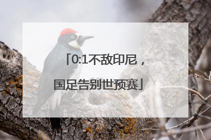 0:1不敌印尼，国足告别世预赛