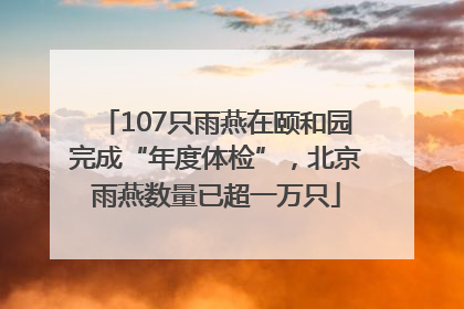 107只雨燕在颐和园完成“年度体检”，北京雨燕数量已超一万只