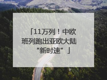 11万列！中欧班列跑出亚欧大陆“新时速”