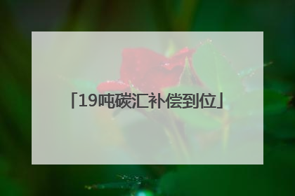 19吨碳汇补偿到位
