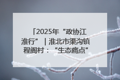 2025年“政协江淮行”｜淮北市渠沟镇程阁村：“生态痛点”变“生态景观”