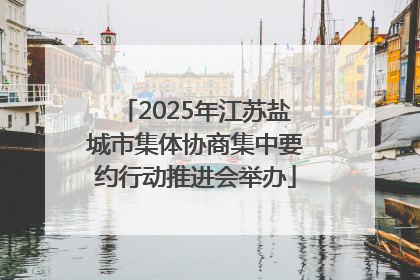 2025年江苏盐城市集体协商集中要约行动推进会举办