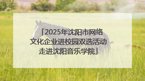 2025年沈阳市网络文化企业进校园双选活动走进沈阳音乐学院