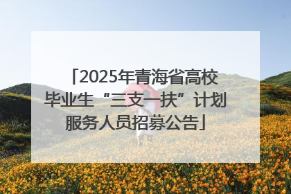 2025年青海省高校毕业生“三支一扶”计划服务人员招募公告