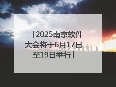 2025南京软件大会将于6月17日至19日举行