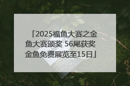 2025福鱼大赛之金鱼大赛颁奖 56尾获奖金鱼免费展览至15日