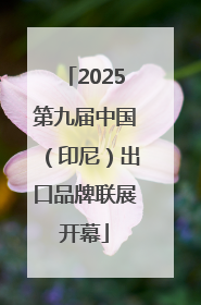 2025第九届中国（印尼）出口品牌联展开幕