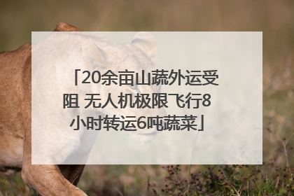 20余亩山蔬外运受阻 无人机极限飞行8小时转运6吨蔬菜