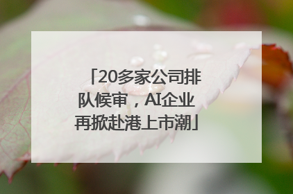 20多家公司排队候审，AI企业再掀赴港上市潮