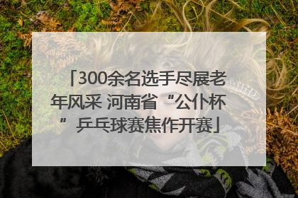 300余名选手尽展老年风采 河南省“公仆杯”乒乓球赛焦作开赛