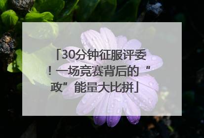 30分钟征服评委！一场竞赛背后的“政”能量大比拼