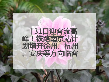 31日迎客流高峰！铁路南京站计划增开徐州、杭州、安庆等方向临客90.5对