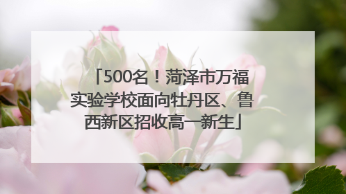 500名！菏泽市万福实验学校面向牡丹区、鲁西新区招收高一新生