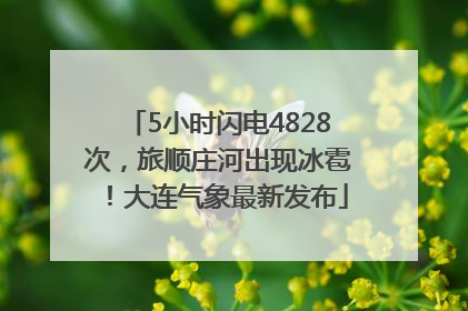5小时闪电4828次，旅顺庄河出现冰雹！大连气象最新发布