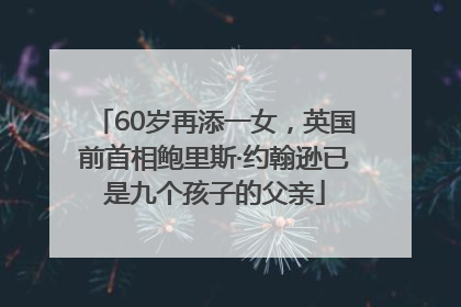 60岁再添一女，英国前首相鲍里斯·约翰逊已是九个孩子的父亲