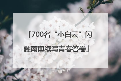 700名“小白云”闪耀南博续写青春答卷