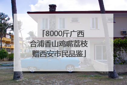8000斤广西合浦香山鸡嘴荔枝赠西安市民品鉴