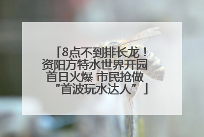8点不到排长龙！资阳方特水世界开园首日火爆 市民抢做“首波玩水达人”