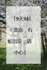 9天9起！北京，有蛇出没，请小心
