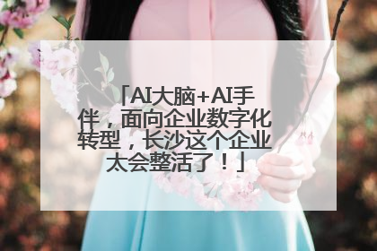 AI大脑+AI手伴，面向企业数字化转型，长沙这个企业太会整活了！